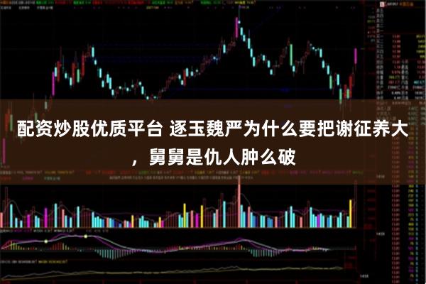 配资炒股优质平台 逐玉魏严为什么要把谢征养大，舅舅是仇人肿么破