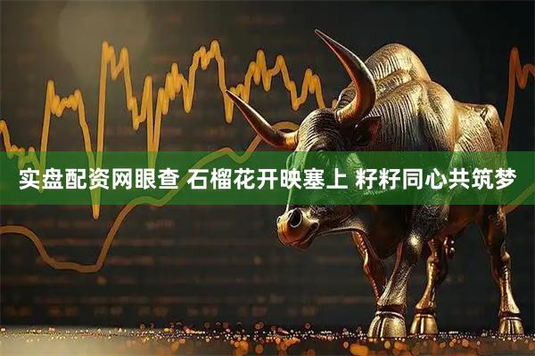 实盘配资网眼查 石榴花开映塞上 籽籽同心共筑梦